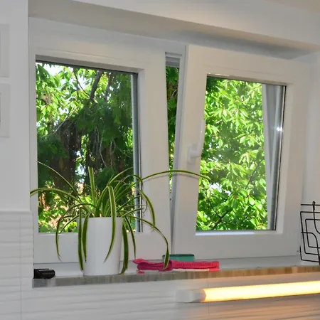 Zigulic Apartment